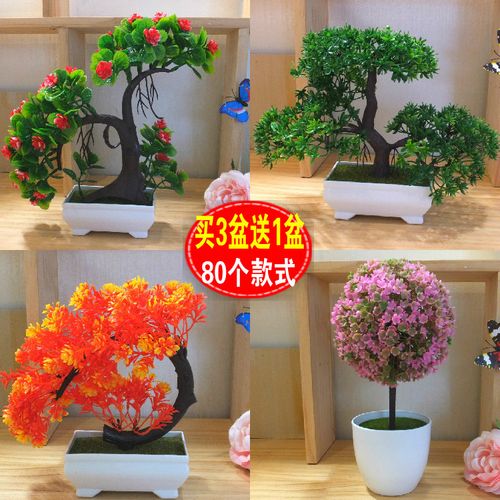 假草盆栽 室内外装饰的常青美学新选择